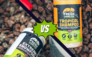 What Is The Difference Between Snow Foam And Shampoo?