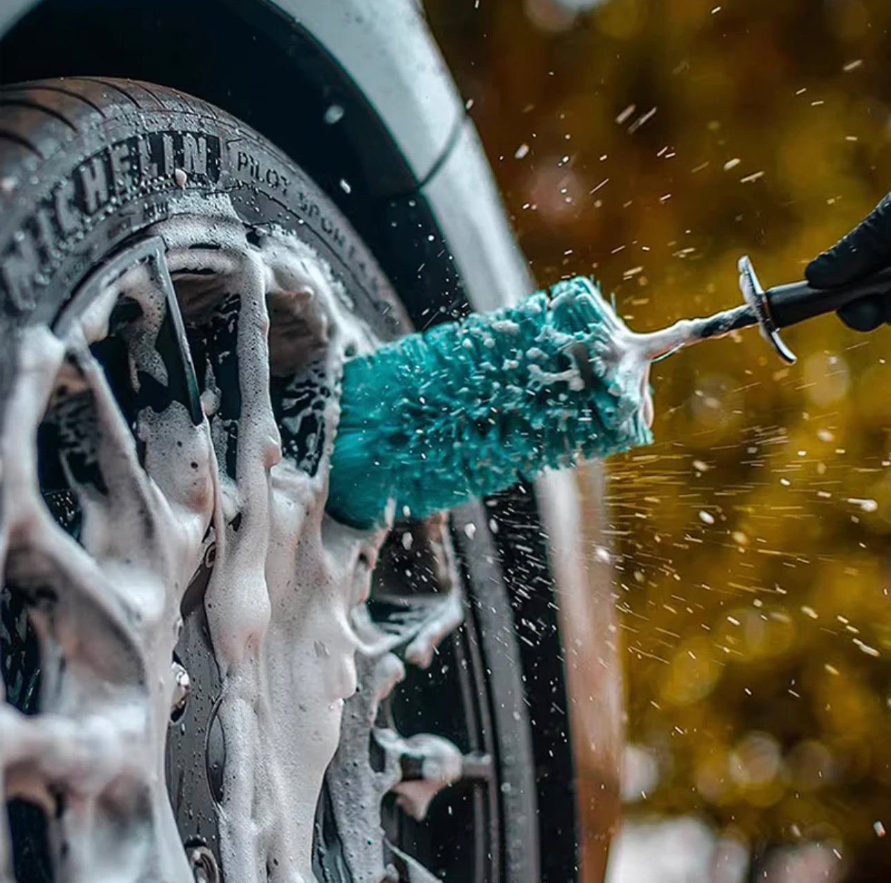 Car Detailing Wheel Brush
